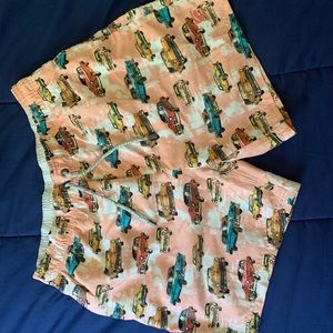 Island Haze swimming trunks